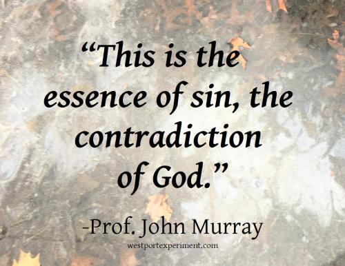 Murray, Essence of Sin