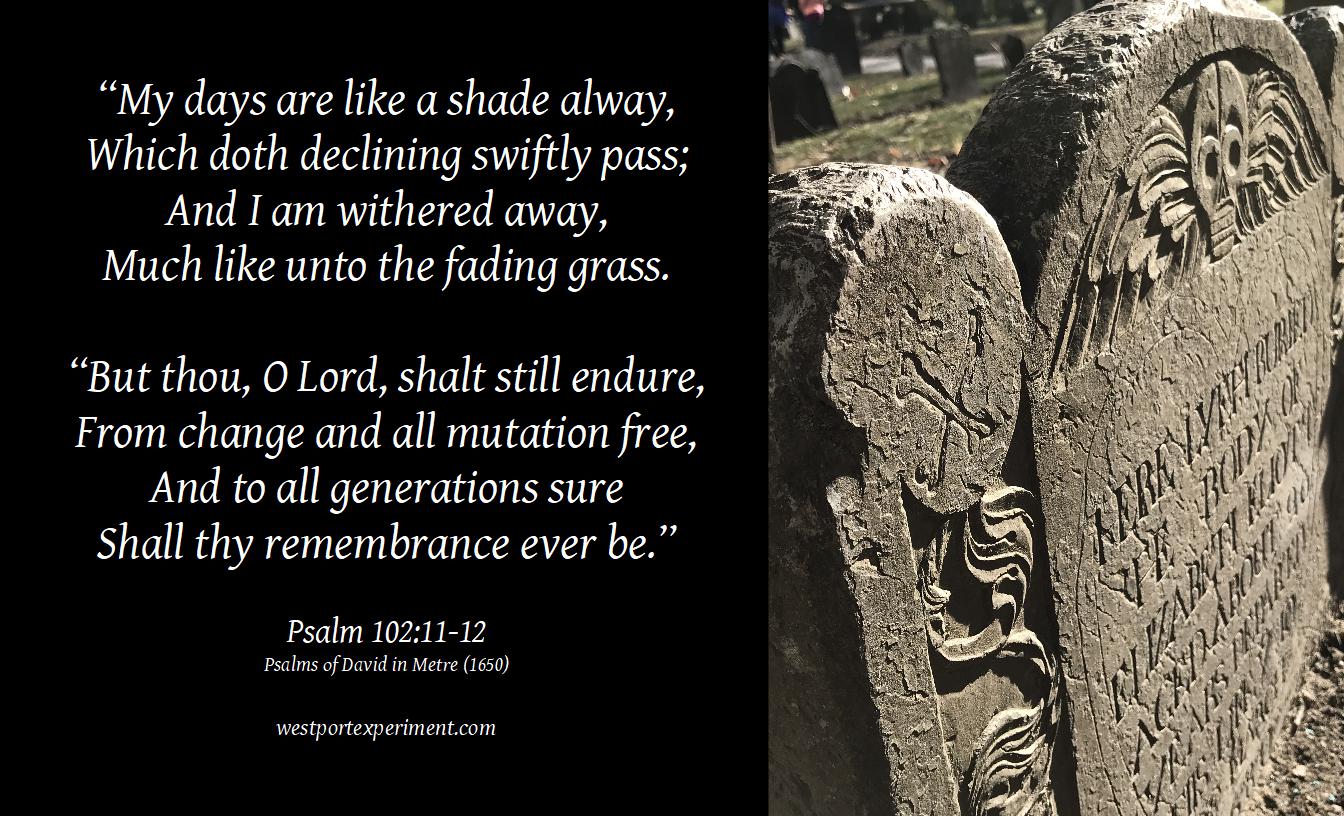 Psalm 102'11-12 PsDM