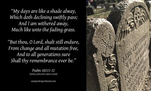 Psalm 102'11-12 PsDM